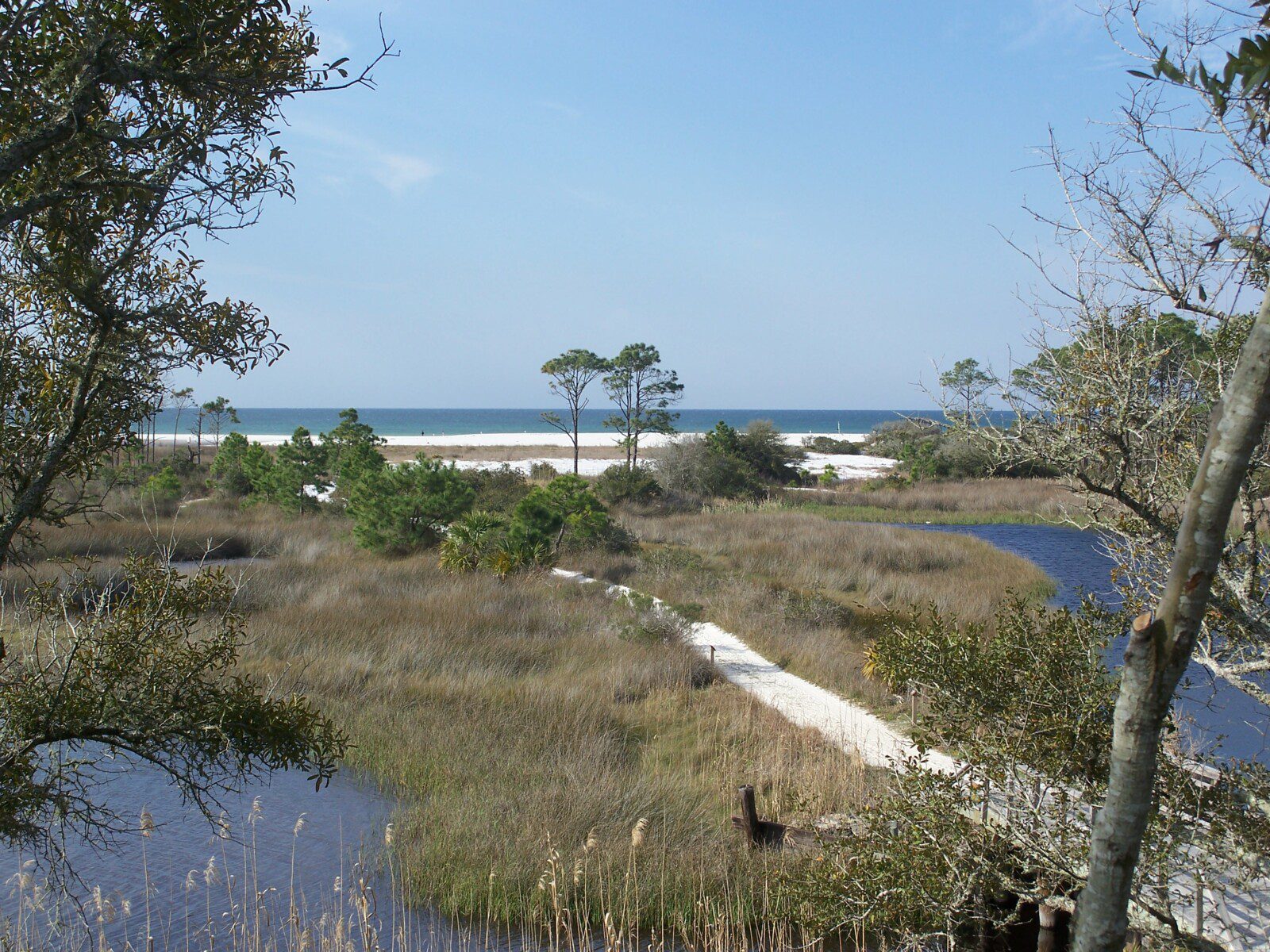 PC_Beach_Camp_Helen_SP01
